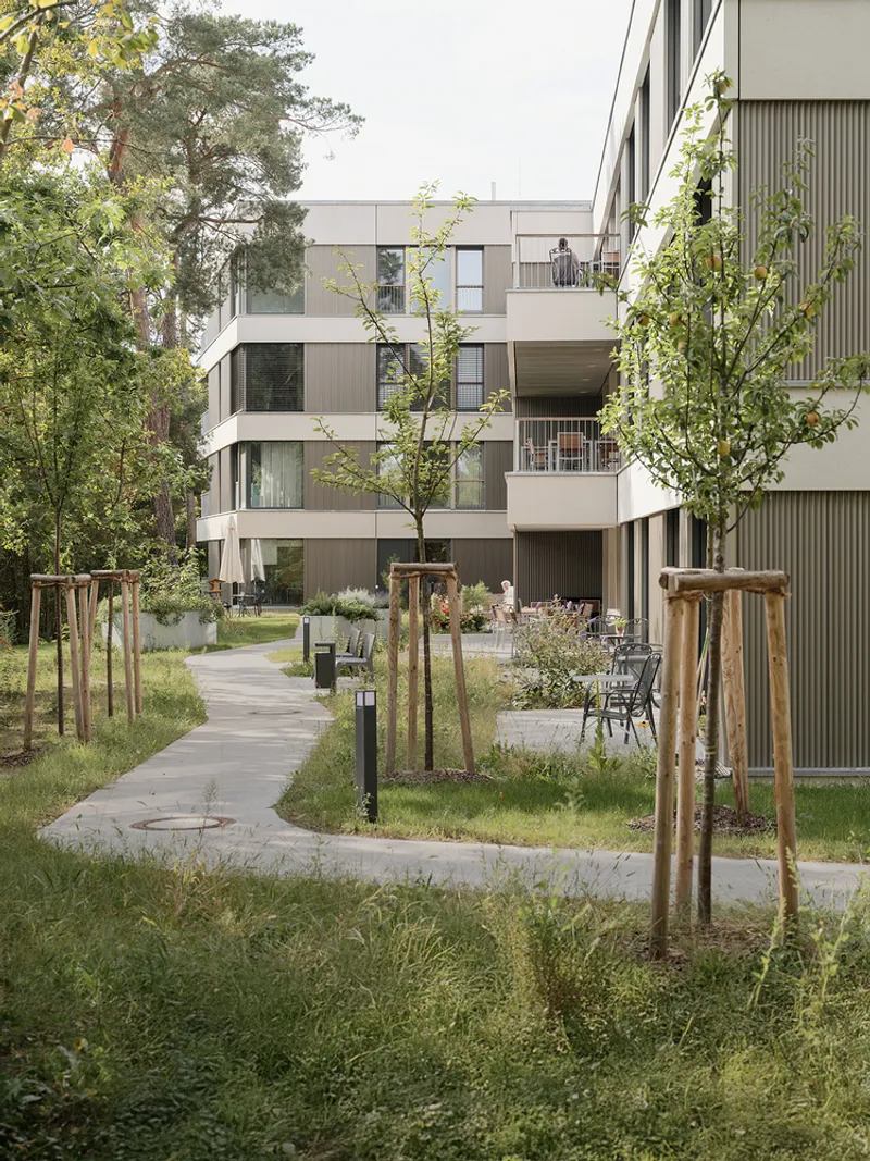 Landscaped courtyard pathway with young staked trees leading past ground-floor terraces and planted beds