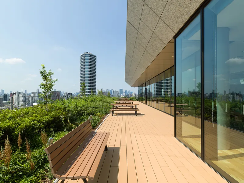 Rooftop deck with timber benches and planted beds overlooking the urban skyline on a clear day