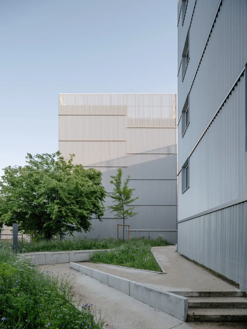 Concrete steps leading through a planted courtyard toward the ribbed metal facade at dusk