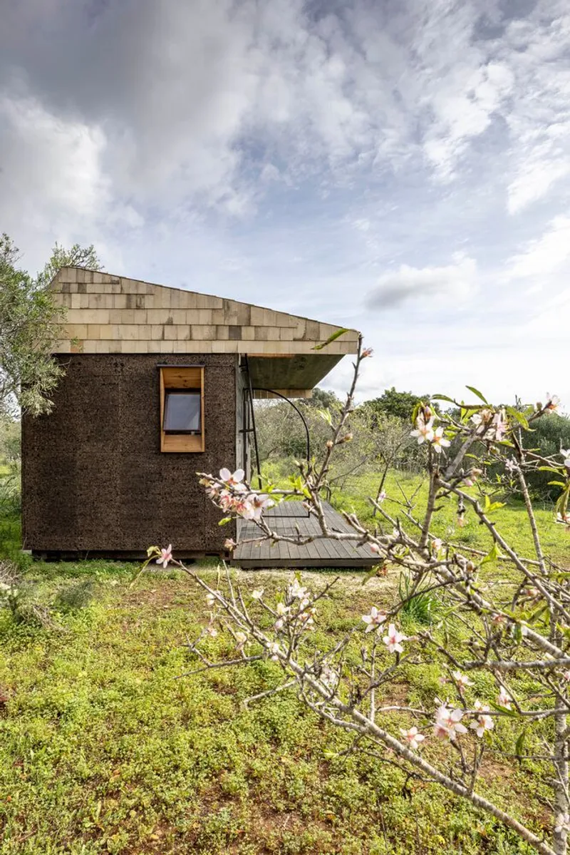 Cork-clad volume with cantilevered concrete roof seen through spring blossoms in a meadow