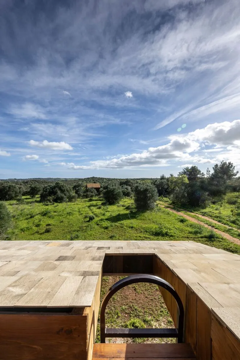 View from the stone-tiled roof terrace through an arched opening toward the olive grove beyond