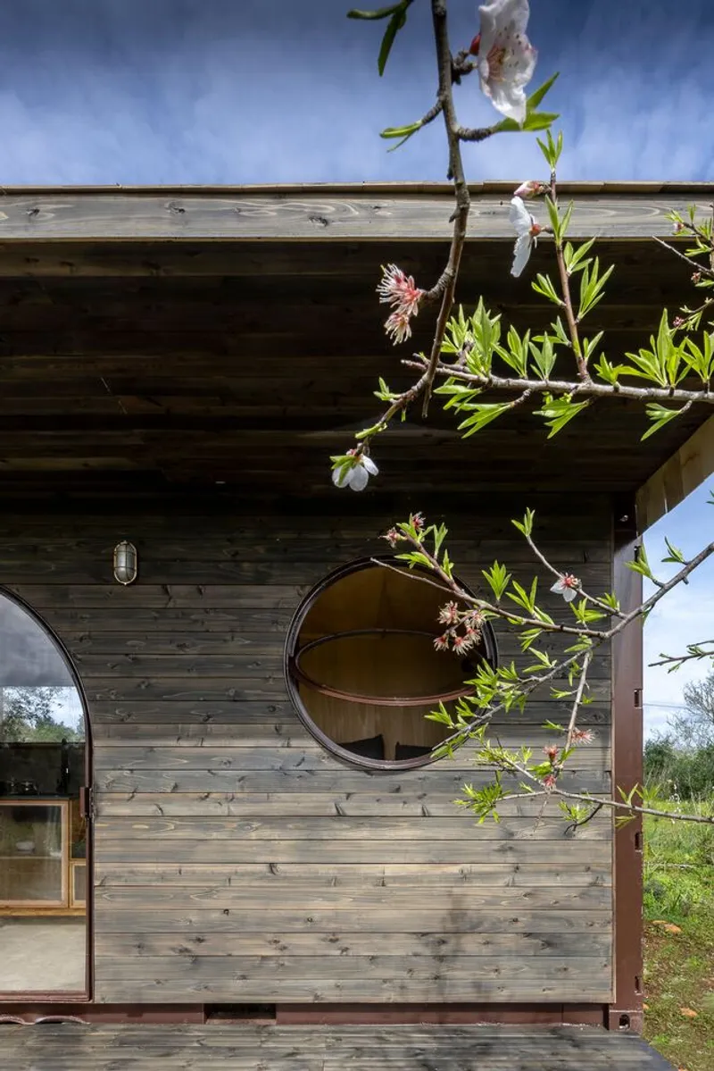 Horizontal timber-clad facade with circular window framed by blossoming tree branches