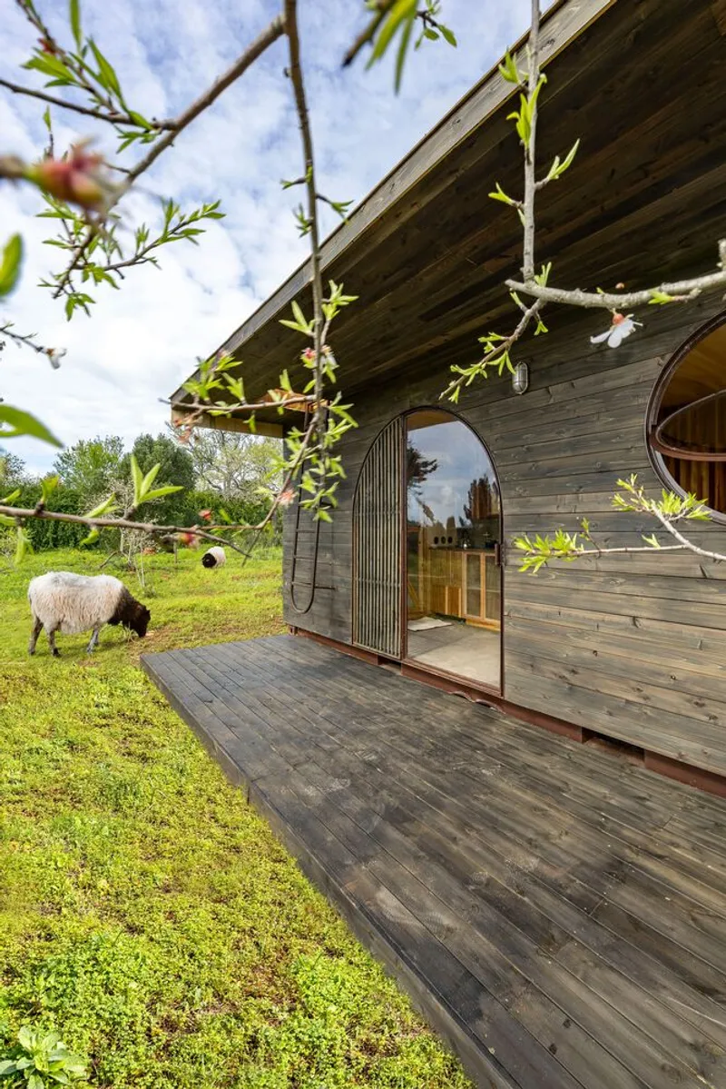 Timber deck and arched doorway with sheep grazing on grass in the foreground