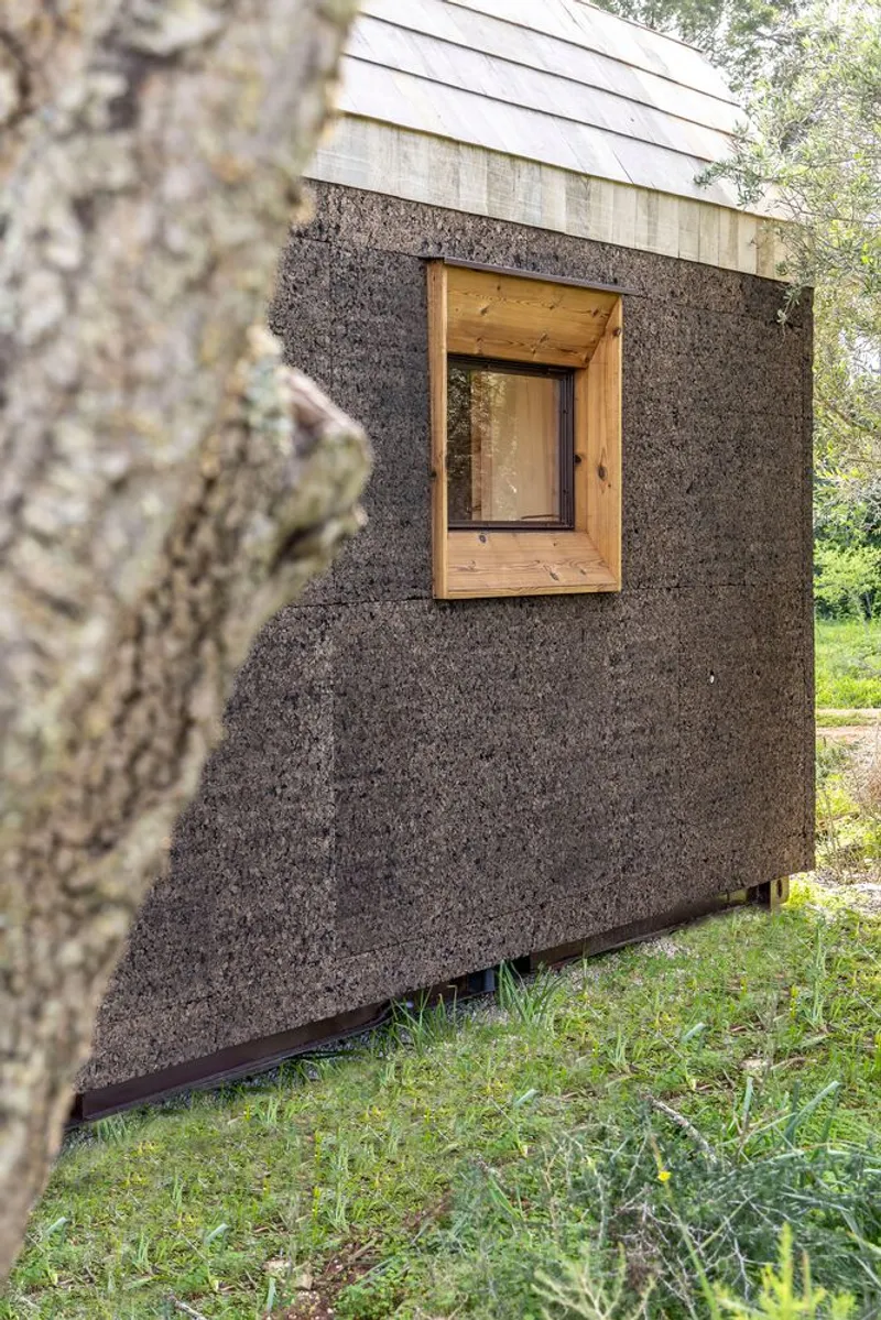 Cork facade with timber-lined window opening viewed past a tree trunk in summer