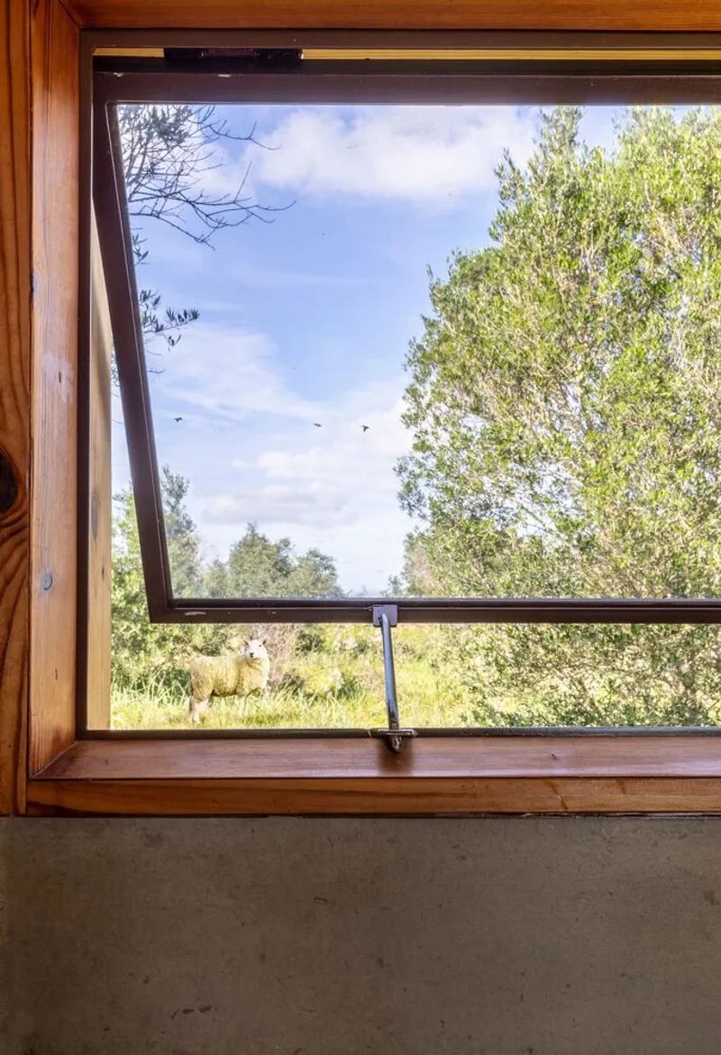 Interior view of a tilting timber window framing trees and sky on a partly cloudy day