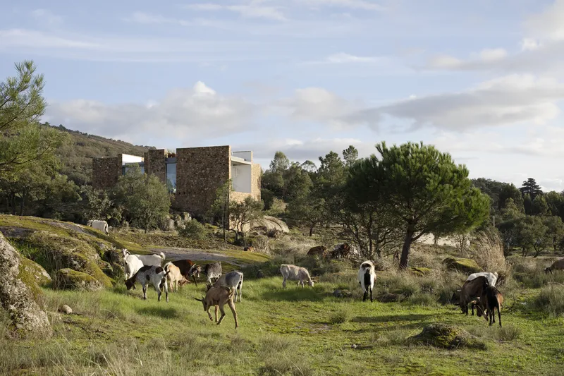Stone-clad volumes on a hillside with grazing goats in a grassy meadow below