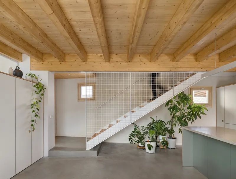 White mesh-wrapped staircase beneath exposed timber ceiling beams with potted plants below
