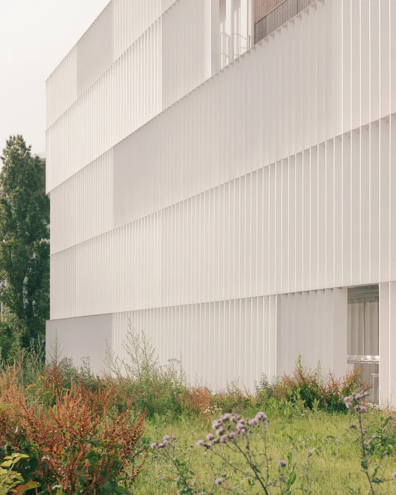 Corner detail of the staggered white louvered facade with wildflower planting at ground level