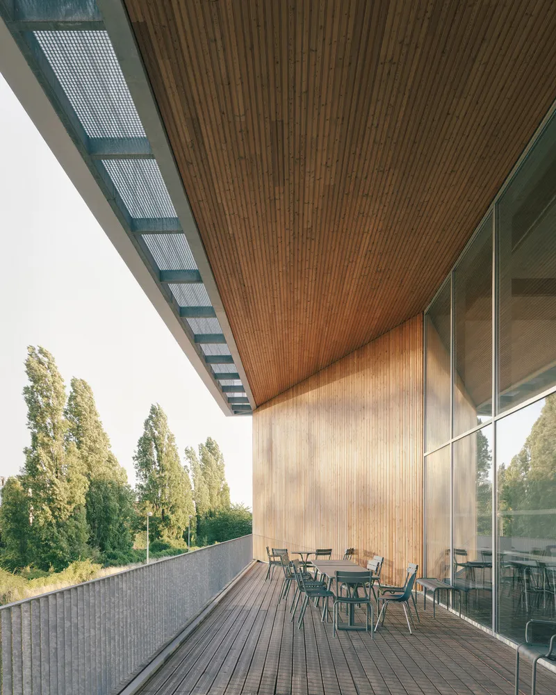 Covered terrace with timber decking, slatted wood ceiling and glass-screened metal mesh skylights above