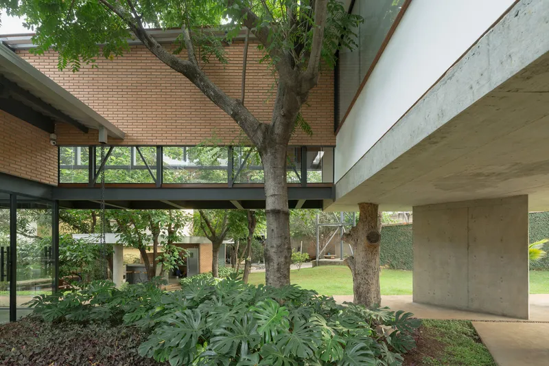 Covered terrace with exposed steel beams and concrete soffit sheltering planted beds around existing trees