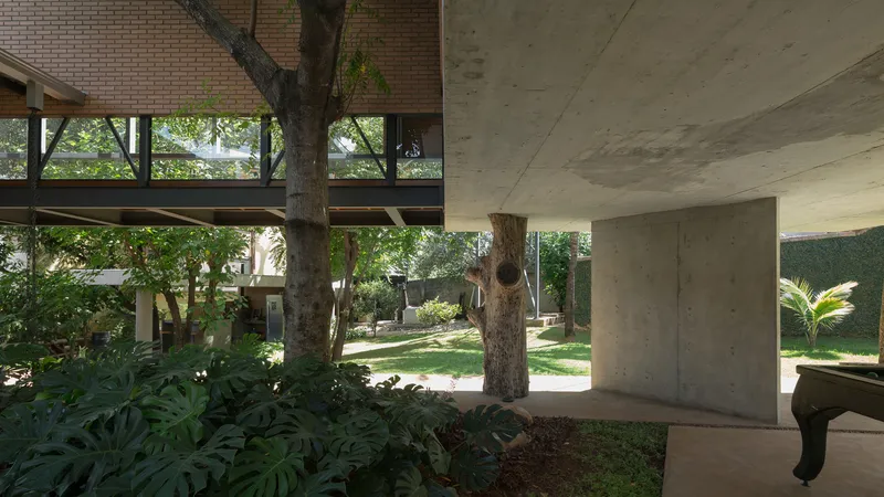 Ground level sheltered space with concrete soffit and columns weaving between existing trees and planted beds