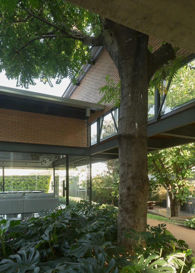Covered exterior terrace framed by steel beams and a preserved tree trunk surrounded by lush plantings