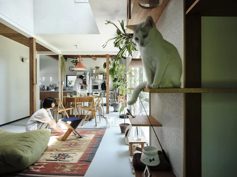 View through the living space showing timber shelving and a person seated on the floor