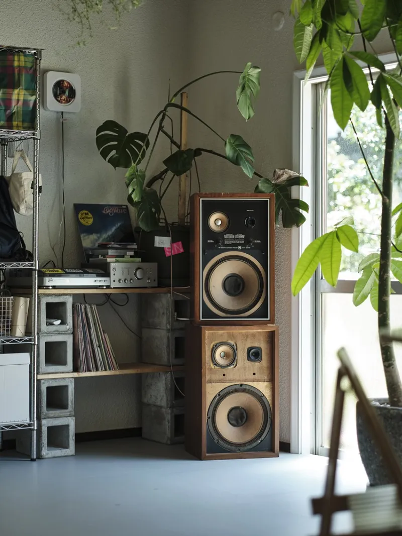 Interior corner with vintage speakers beside wire shelving and potted monstera near a window