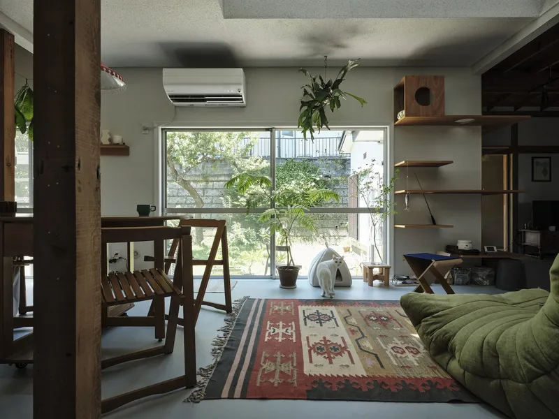 Living room with patterned rug and glazed wall framing views of a tree and neighboring structures