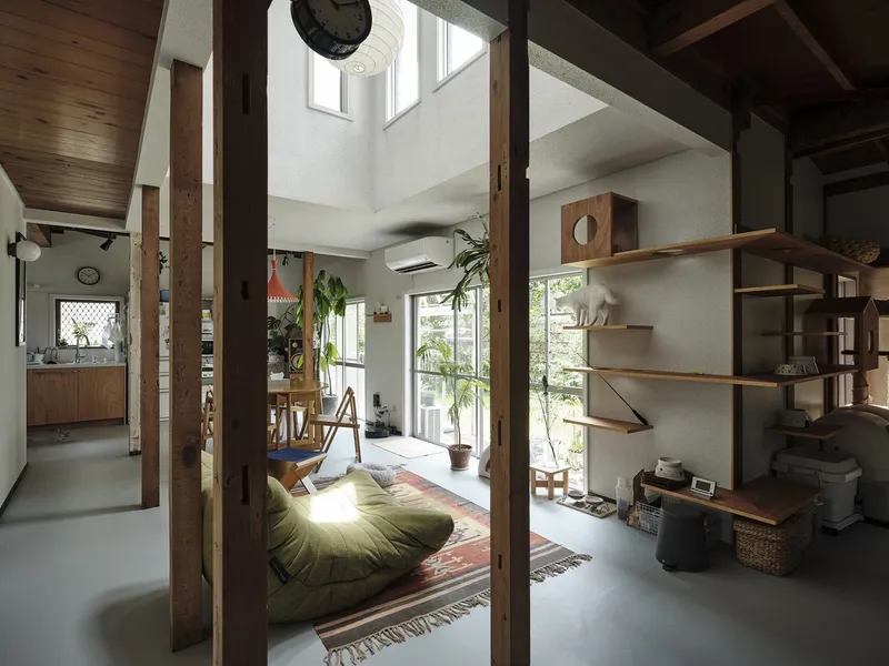 View through timber columns into living space with skylight and potted plants