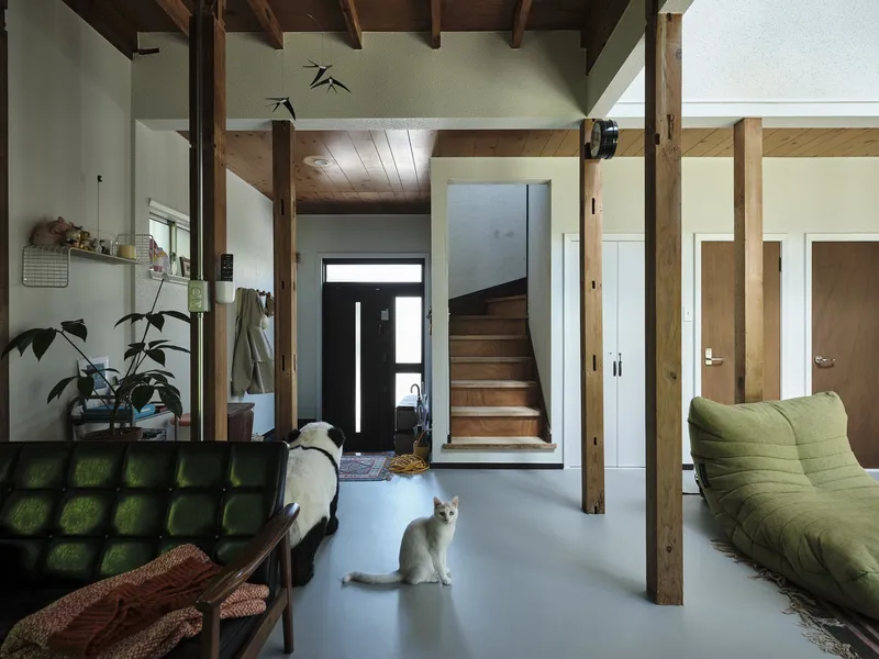 Entry hall with timber staircase and two cats on polished concrete floor