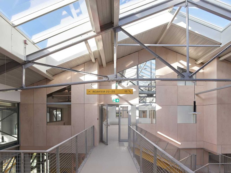 Interior bridge with mesh railings and yellow signage beneath steel trusses and glazed gable roof
