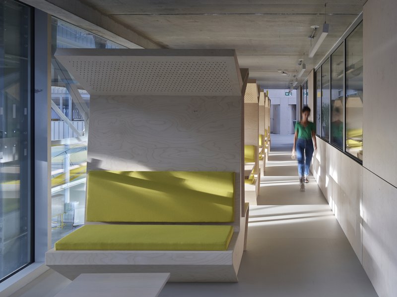 Timber-lined corridor with perforated acoustic panels and a built-in bench with yellow cushions in afternoon light