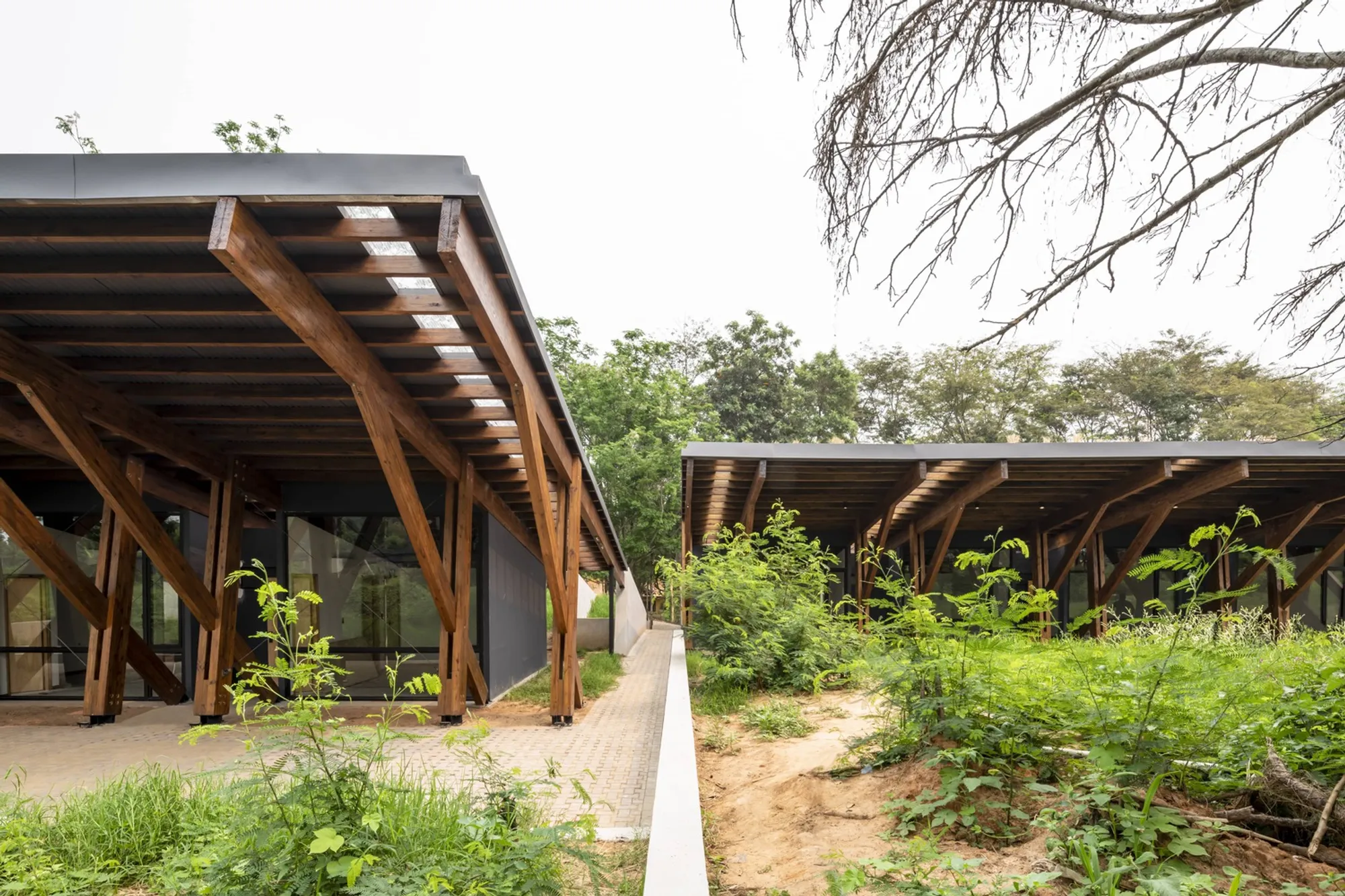 SD+A Tucks Timber Pavilions into the Paraguayan Forest at Yvyrupa Cabins