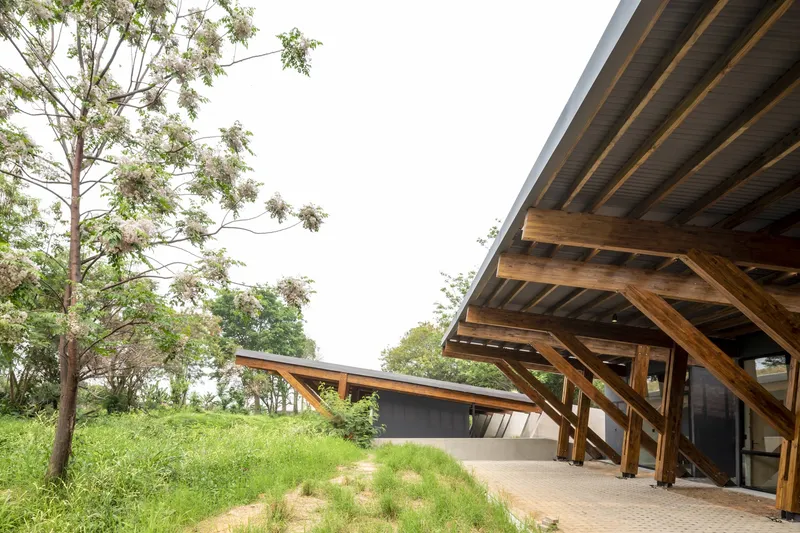 Sloped roof with exposed timber beams extending over a concrete walkway bordered by grasses