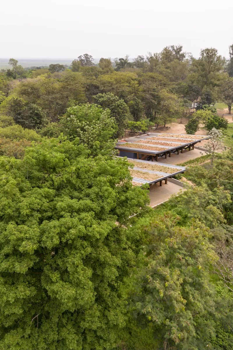 Drone view of the angular rooflines emerging from thick forest canopy under overcast skies
