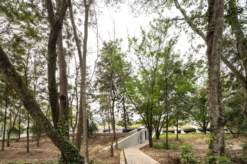 Paved pathway winding through mature trees toward a partially visible curved roof structure