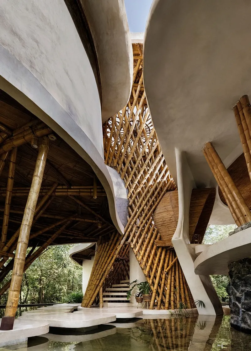 Woven bamboo staircase between white concrete shells and branching timber columns reflected in floor pool