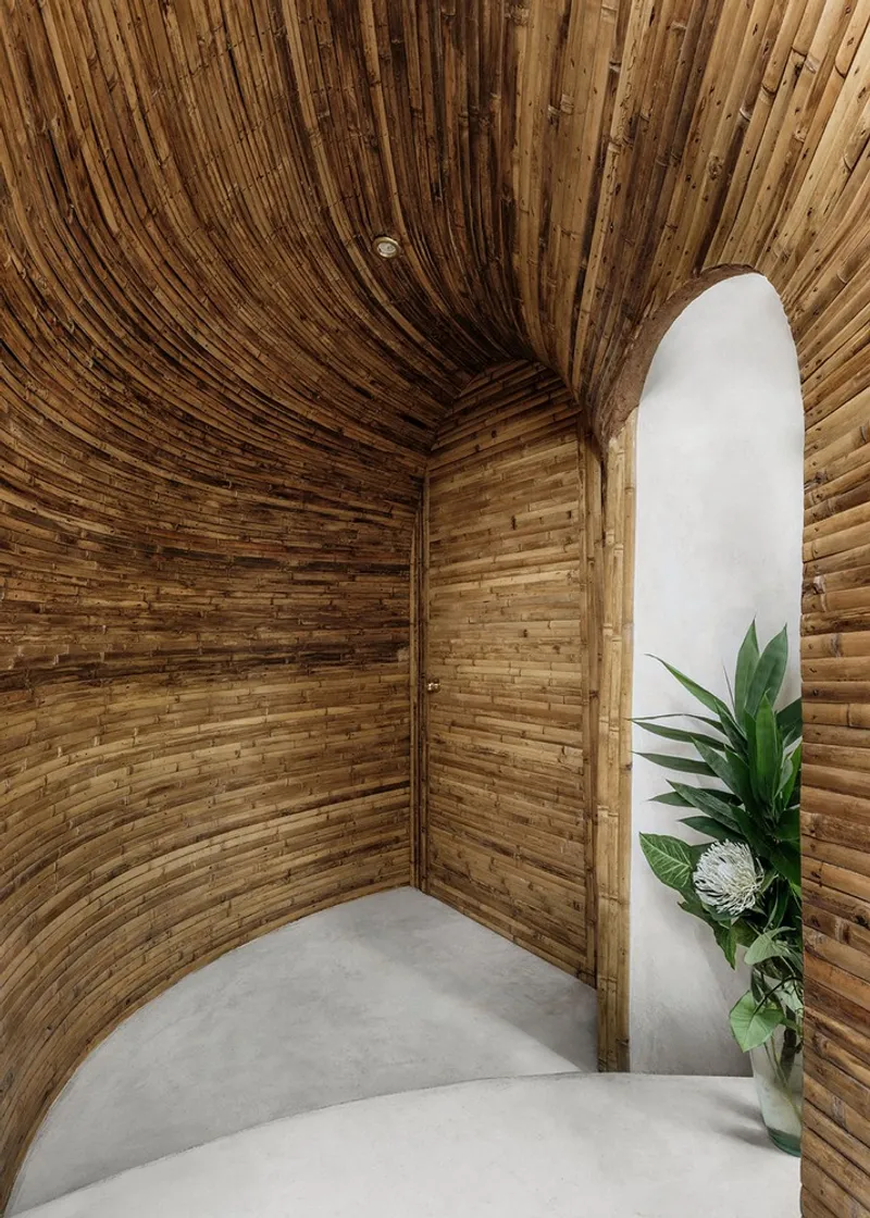 Curved bamboo wall meeting ceiling in entry vestibule with potted plant