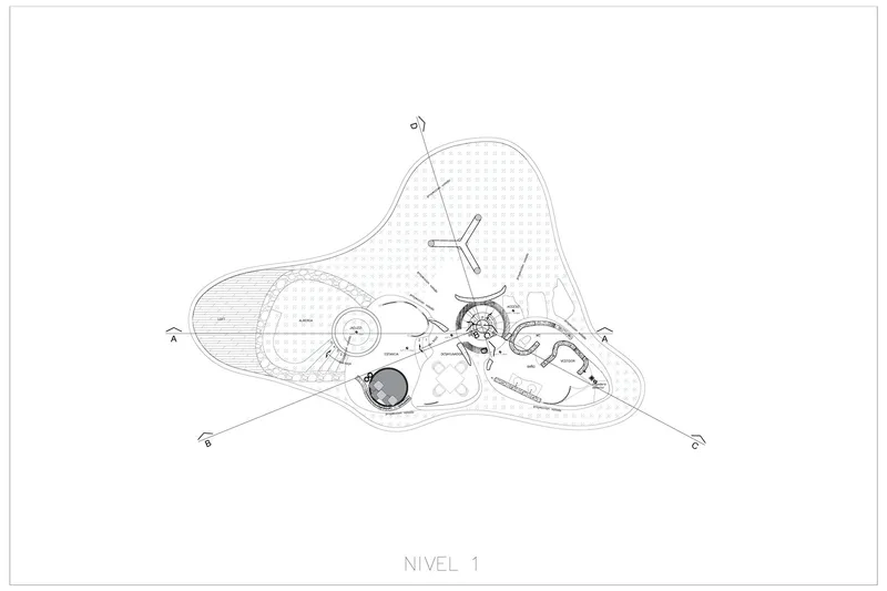 Level one floor plan depicting interconnected rounded forms with varied surface patterns radiating from central spaces