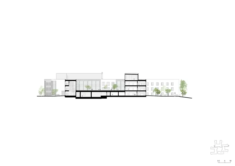 Section drawing revealing interior floor levels and roof terraces with tree plantings at grade