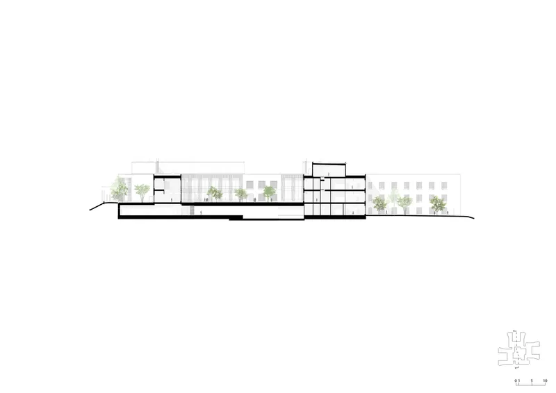 Section drawing showing a low-rise horizontal block with planted terraces and flanking trees
