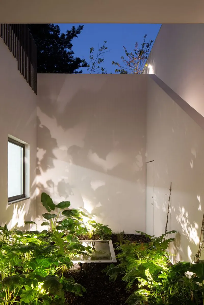 Interior courtyard with planted bed and tree shadow patterns on white walls at dusk