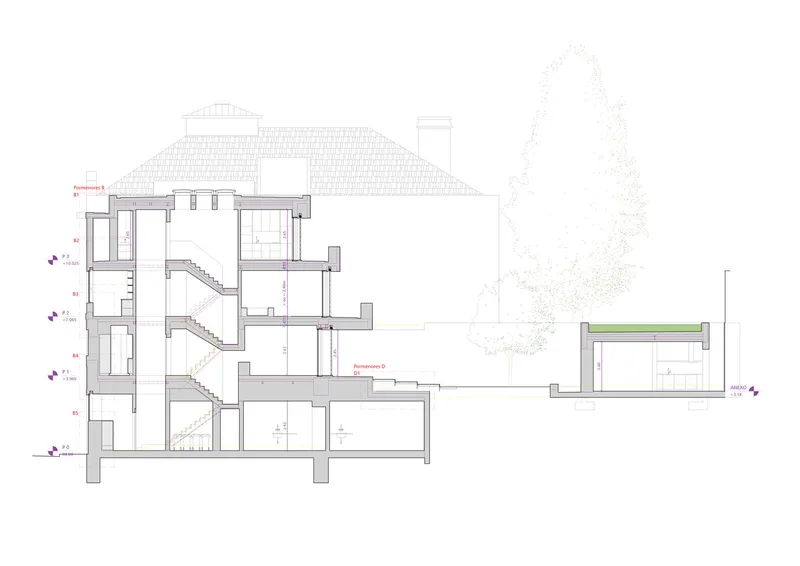 Section drawing revealing internal staircases connecting four levels with pitched roof above