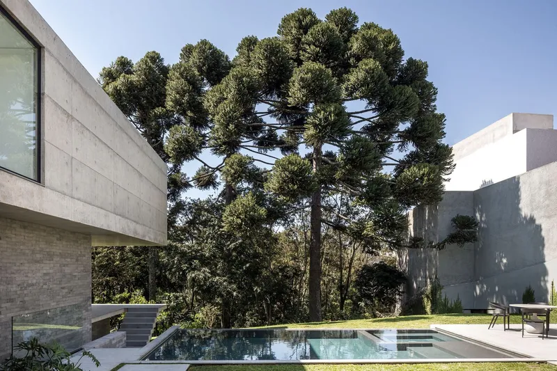 Pool terrace beside a mature conifer tree with concrete and rendered volumes flanking