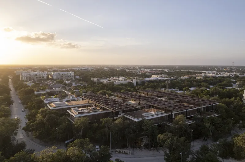 Aerial view of the flat rooftop grid with solar panels nestled among trees at sunset