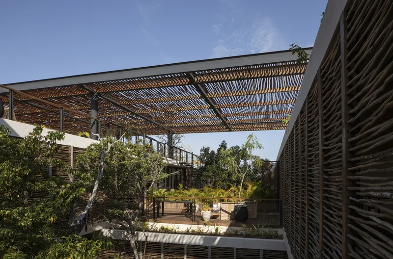 Planted courtyard framed by timber lattice canopy and horizontal louver screens under afternoon sun
