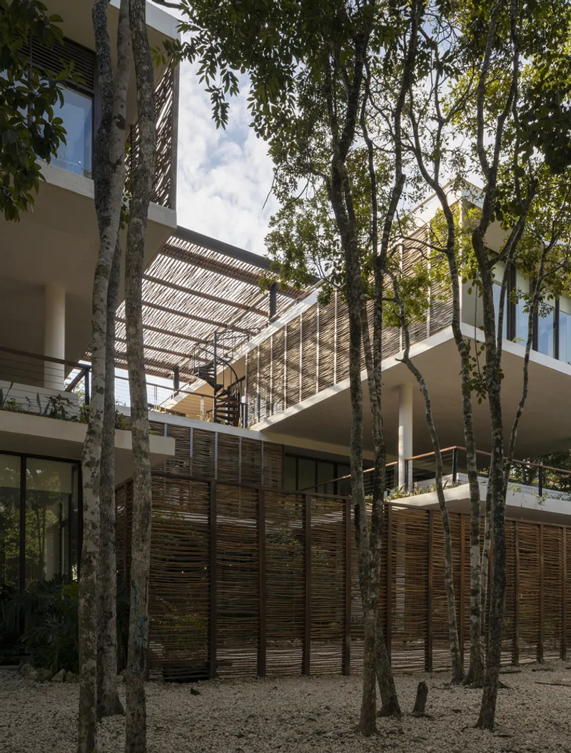 Facade showing stacked terraces with timber louver screens among preserved tree trunks in gravel bed