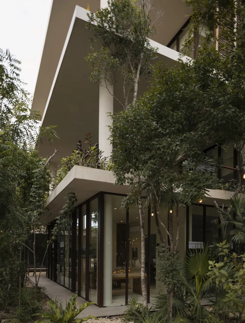 Glass-walled ground floor pavilion surrounded by lush planted beds with palms and birch trees at dusk