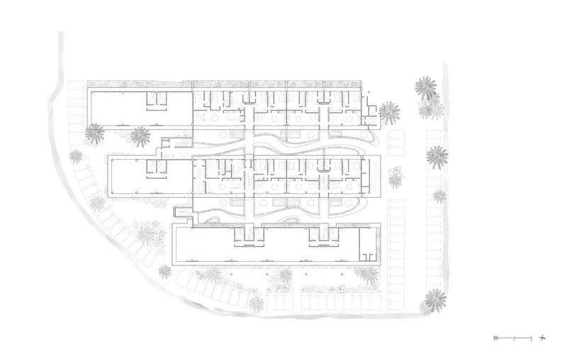 Site plan drawing showing three parallel residential bars with undulating central circulation and surrounding palm trees