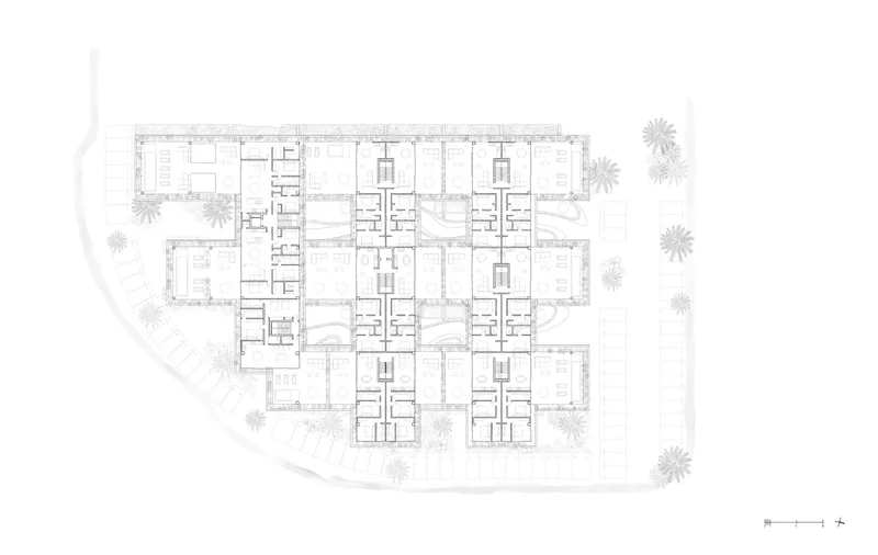 Floor plan drawing illustrating residential units with central circulation cores and palm trees at site edges