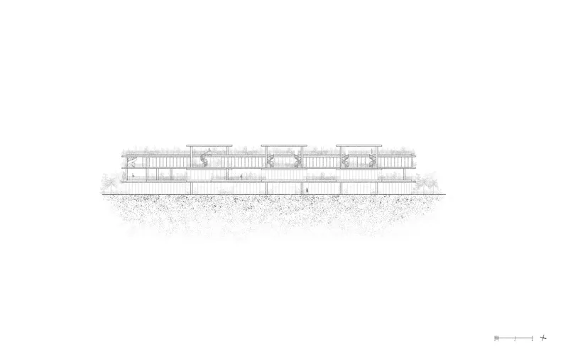 Section drawing showing the horizontal linear structure elevated above textured ground plane