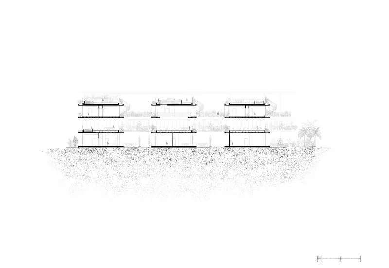 Section drawing revealing three stacked horizontal bars with rooftop vegetation and adjacent trees