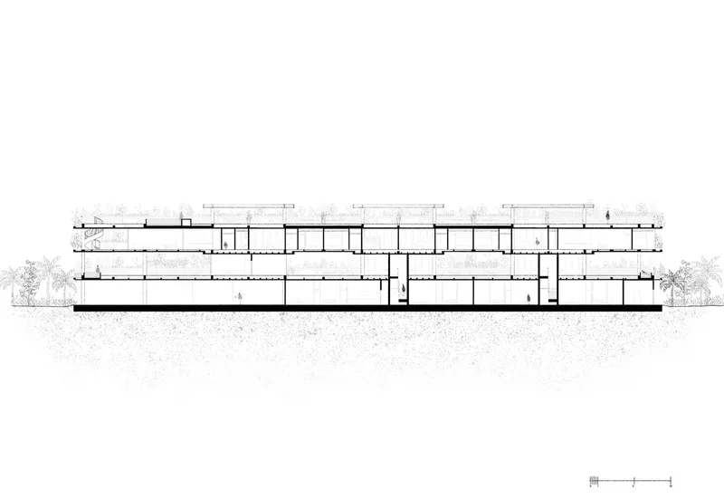 Longitudinal section drawing displaying the interior spatial arrangement across the three connected volumes with flanking trees