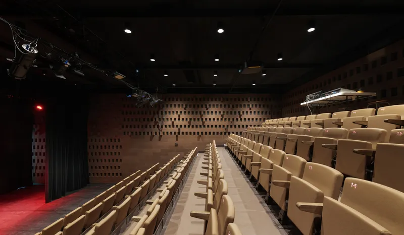 Theatre auditorium with raked beech seating and perforated cork acoustic wall panels under stage lighting