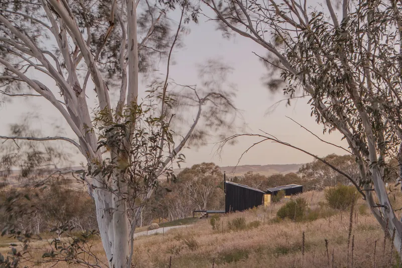 Distant view of the dark timber-clad volume nestled among eucalyptus trees and dry grassland