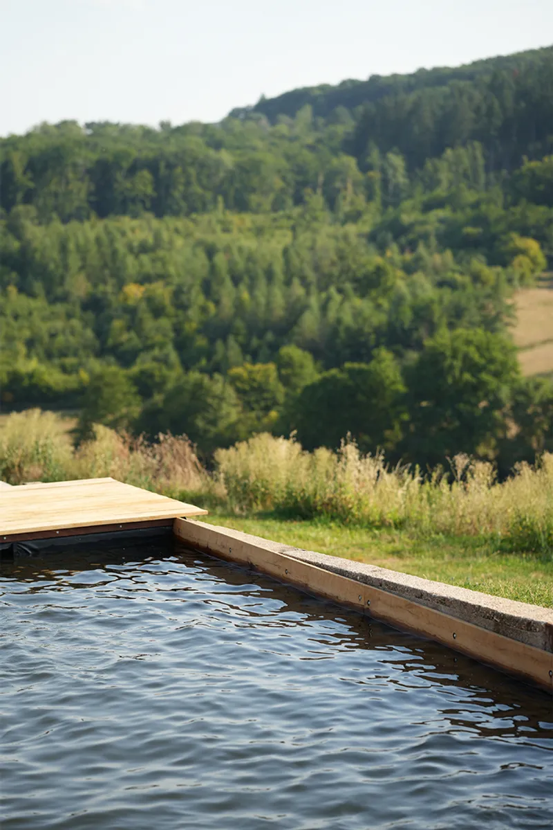 Timber-edged plunge pool overlooking grassy meadow and wooded valley in soft daylight