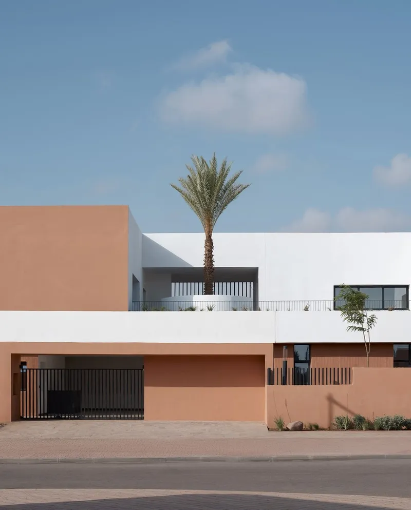 Street facade showing terracotta and white volumes with vertical screening and a palm tree rising from the upper terrace