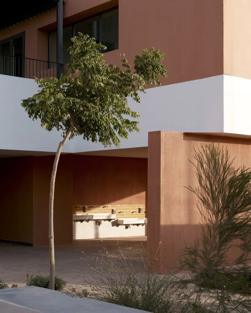 Ground-level courtyard with a deciduous tree beside a copper-clad opening framed by planted beds