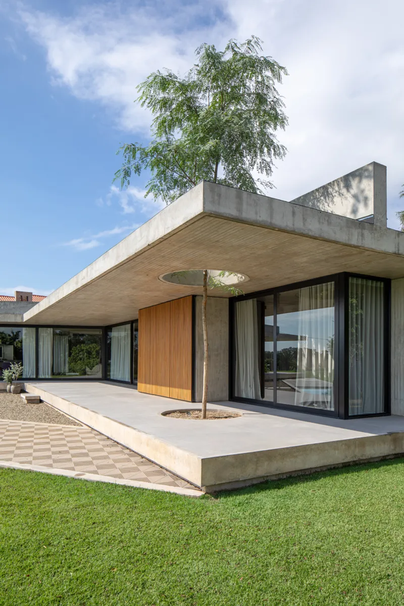 Elevated concrete terrace with a tree growing through a circular opening under a cantilevered wood soffit